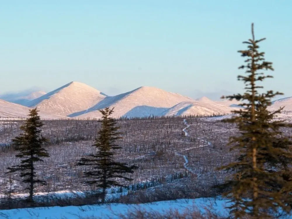 Arctic Circle Dalton Highway Northern Lights Day Trip - 4