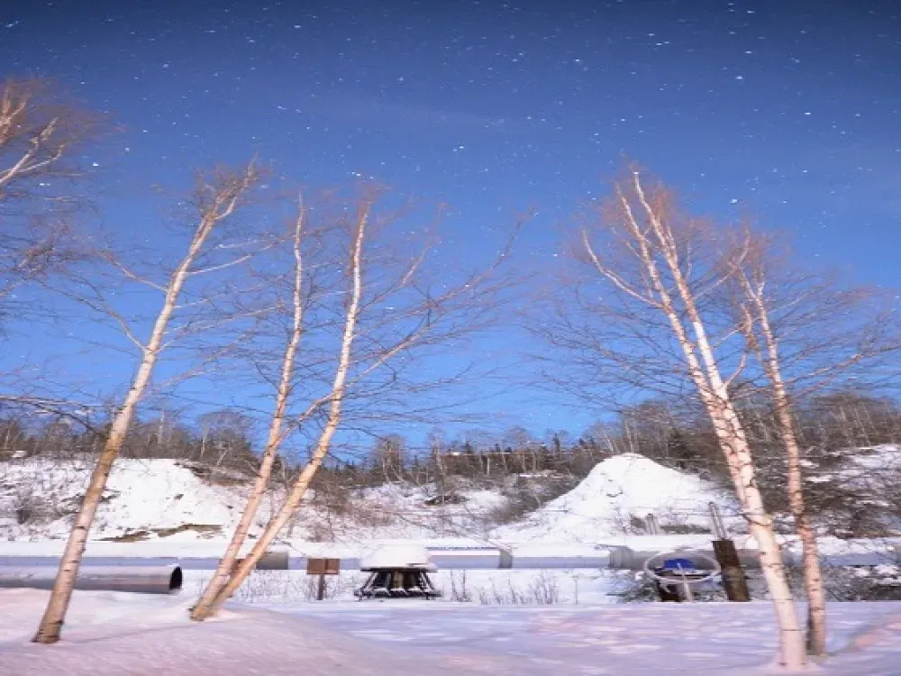 Arctic Circle Dalton Highway Northern Lights Day Trip - 3