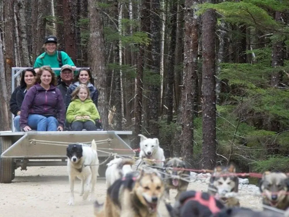 Skagway Sled Dog Discovery & Musher's Camp - 2