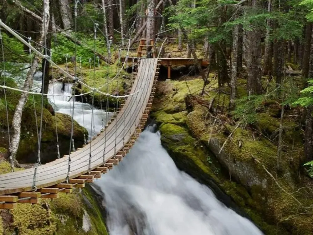 Grizzly Falls Ziplining Expedition - 2