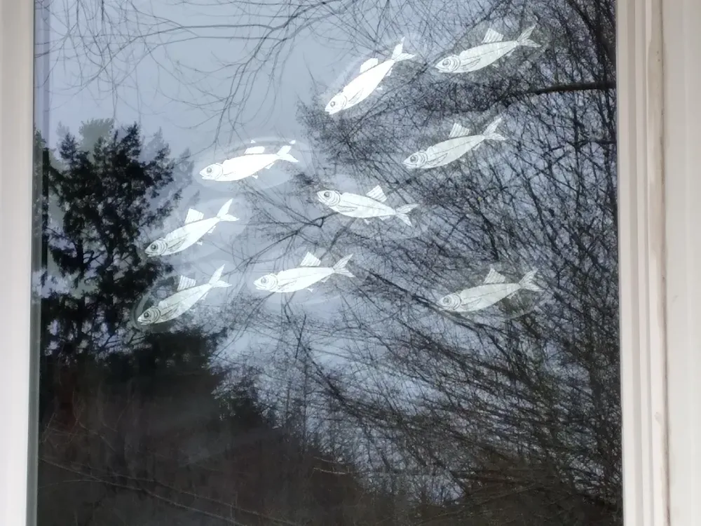 Window Fish Clings (set of 9) - 2