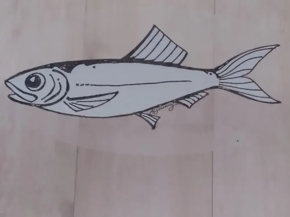 Window Fish Clings (set of 9)