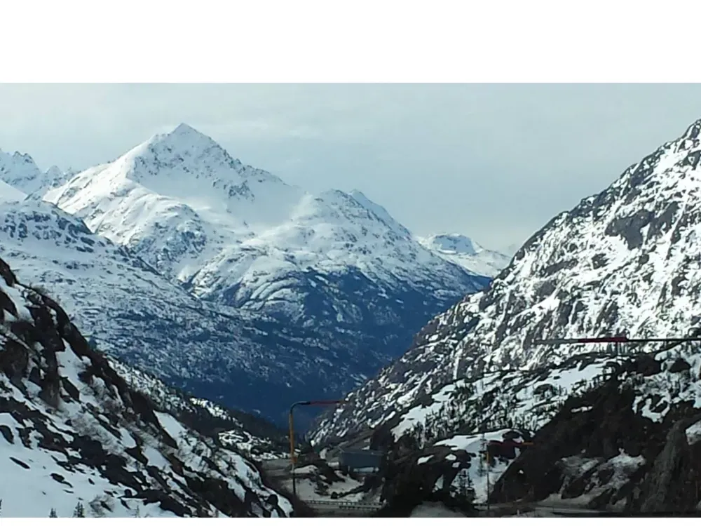 Yukon Suspension Bridge, Pet the Puppies, and White Pass Summit TRIPLE Combo - 4