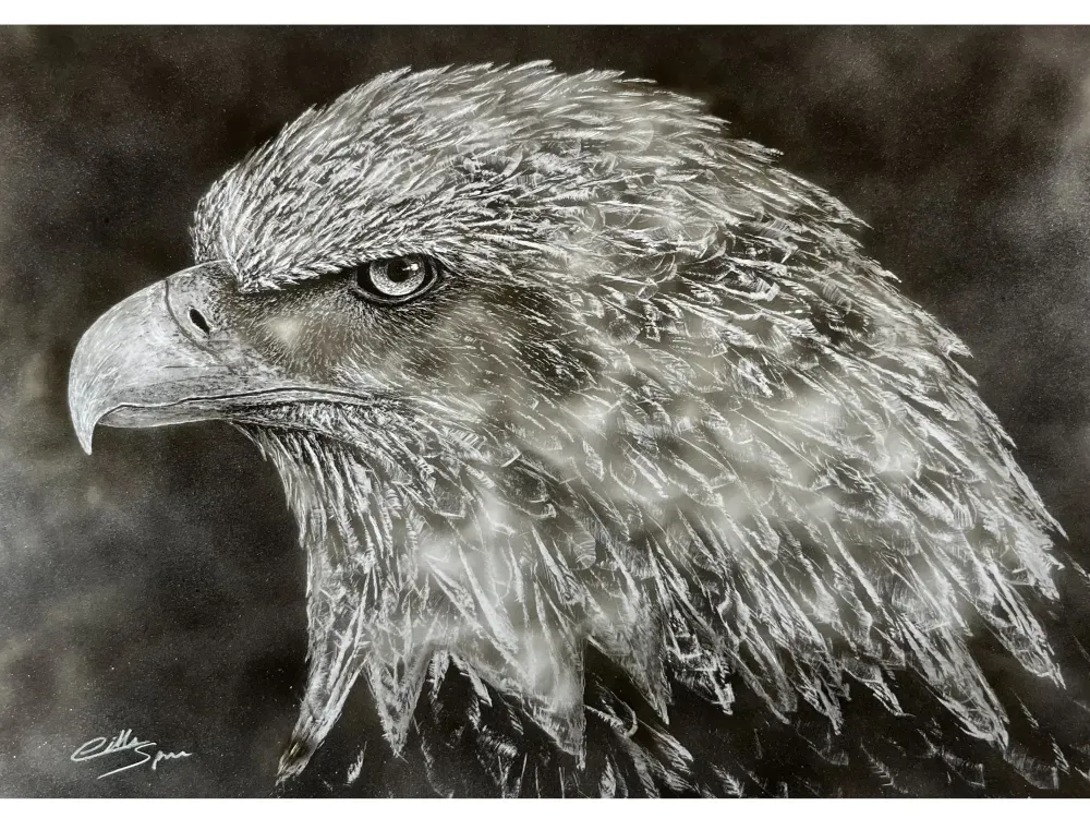 "Eagle Eye" Eagle Print.  Candle Soot on Paper - 1
