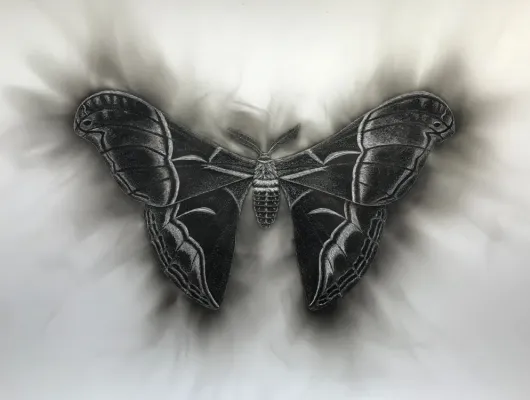 "Like a Moth to the Flame" Moth Print.  Candle Soot on Paper