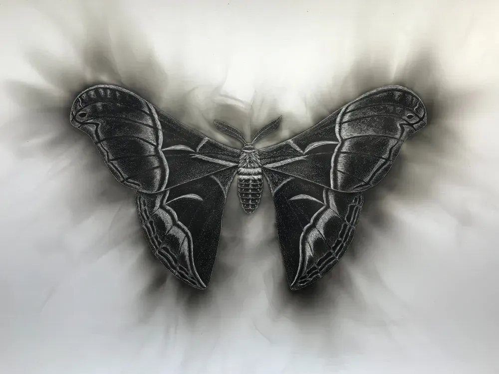 "Like a Moth to the Flame" Moth Print.  Candle Soot on Paper - 1