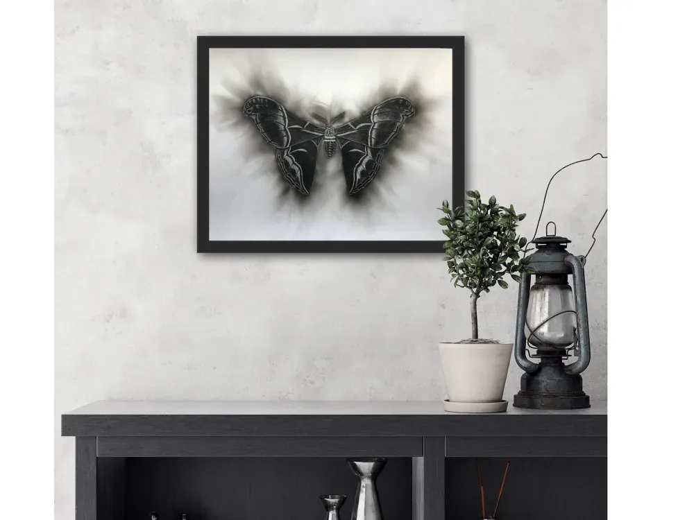 "Like a Moth to the Flame" Moth Print.  Candle Soot on Paper - 5