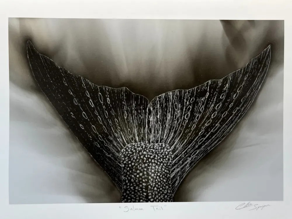 "Salmon Tail"  Print.  Candle Soot on Paper - 1