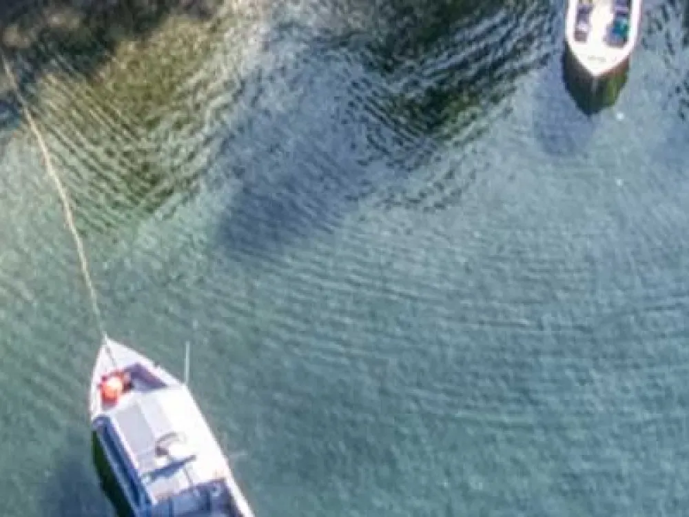 Private Fishing Charter (23 ft. Skiff) - 5