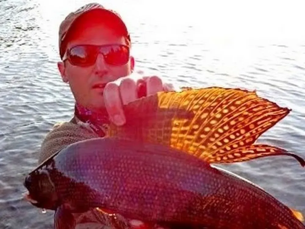 Guided Fishing Excursion (Full Day) - 2