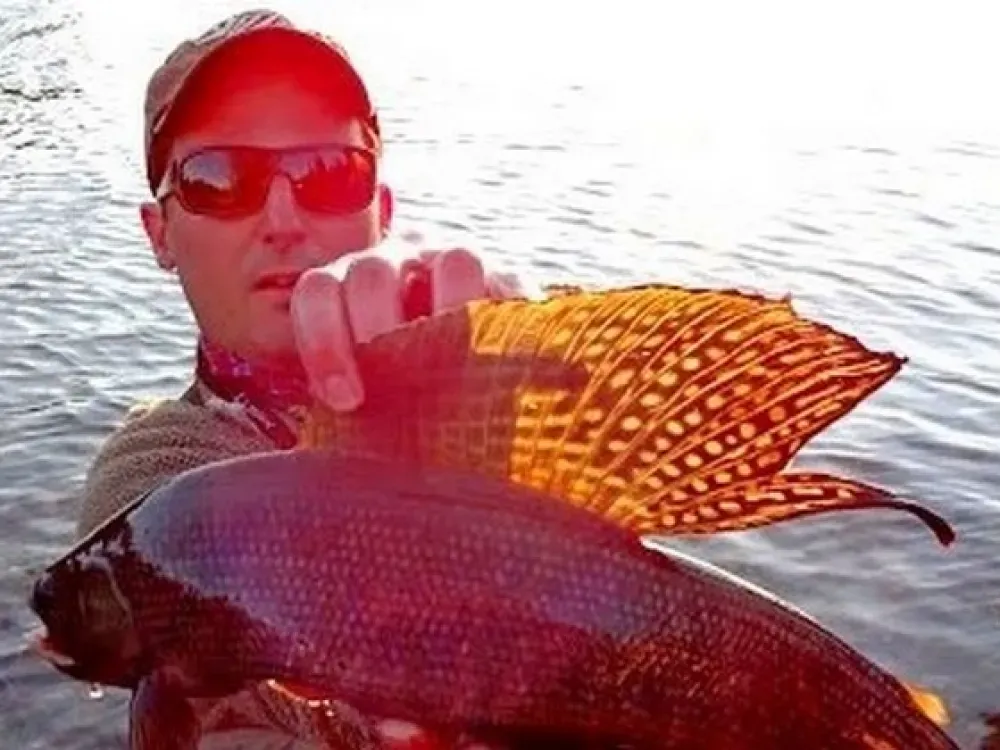 Guided Fishing Excursion (Half Day) - 1