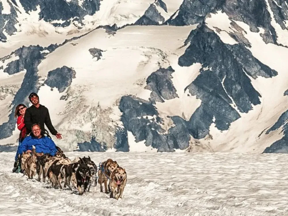 Winter Dog Sled Tour in Knik, Alaska - 3