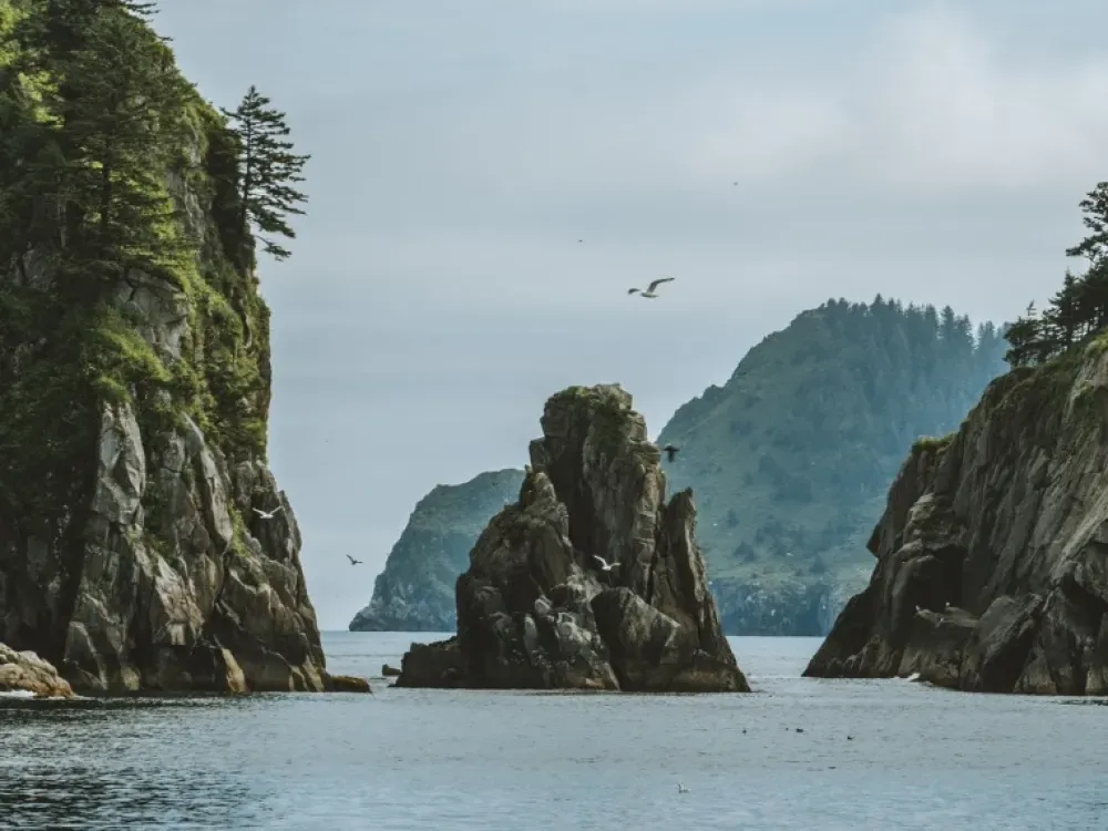 7.5 Hour Kenai Fjords National Park Cruise - 3