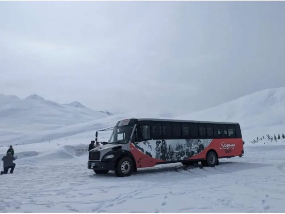 Winter Wonderland Yukon Tour - 4