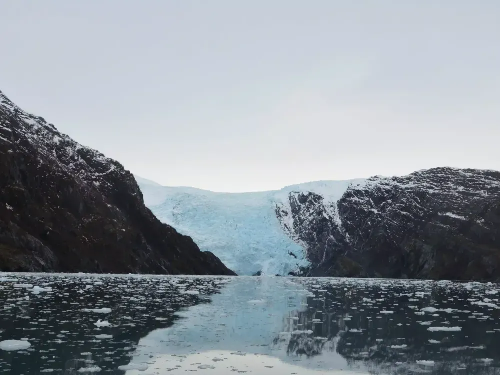 Prince William Sound Glacier Cruise - 3