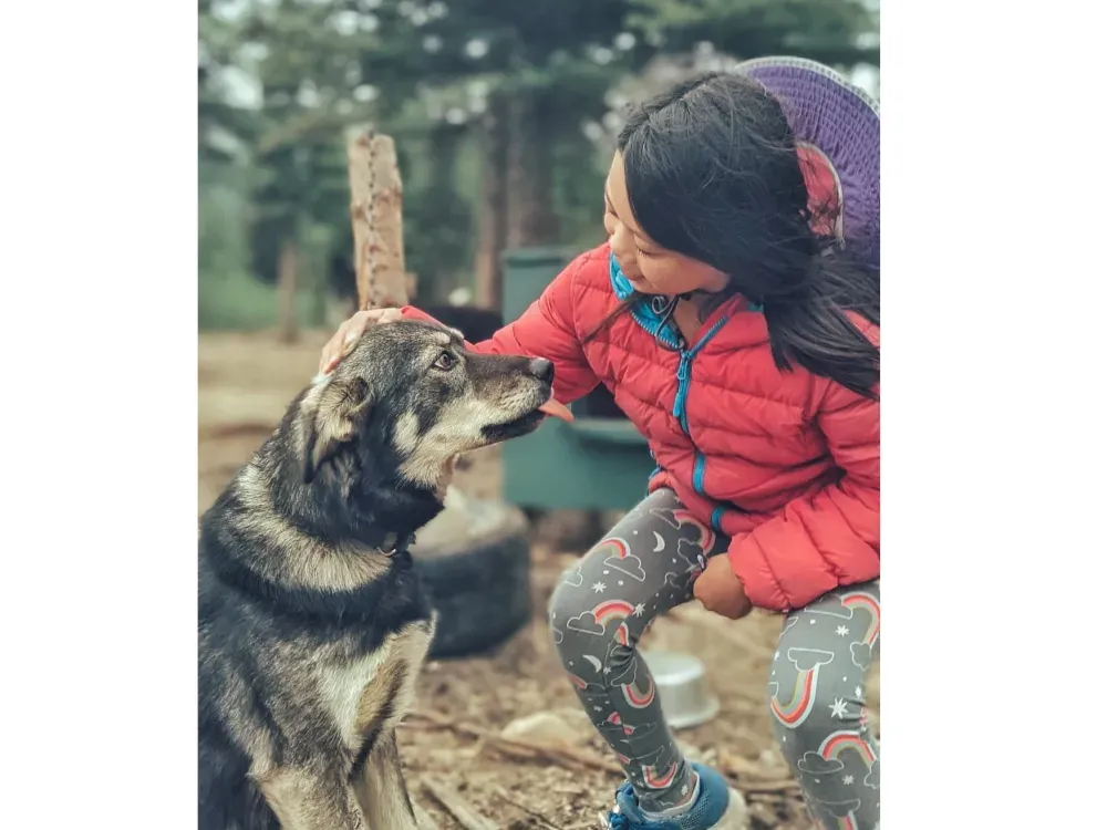 Summer Sled Dog Ride & Kennel Tour - 3