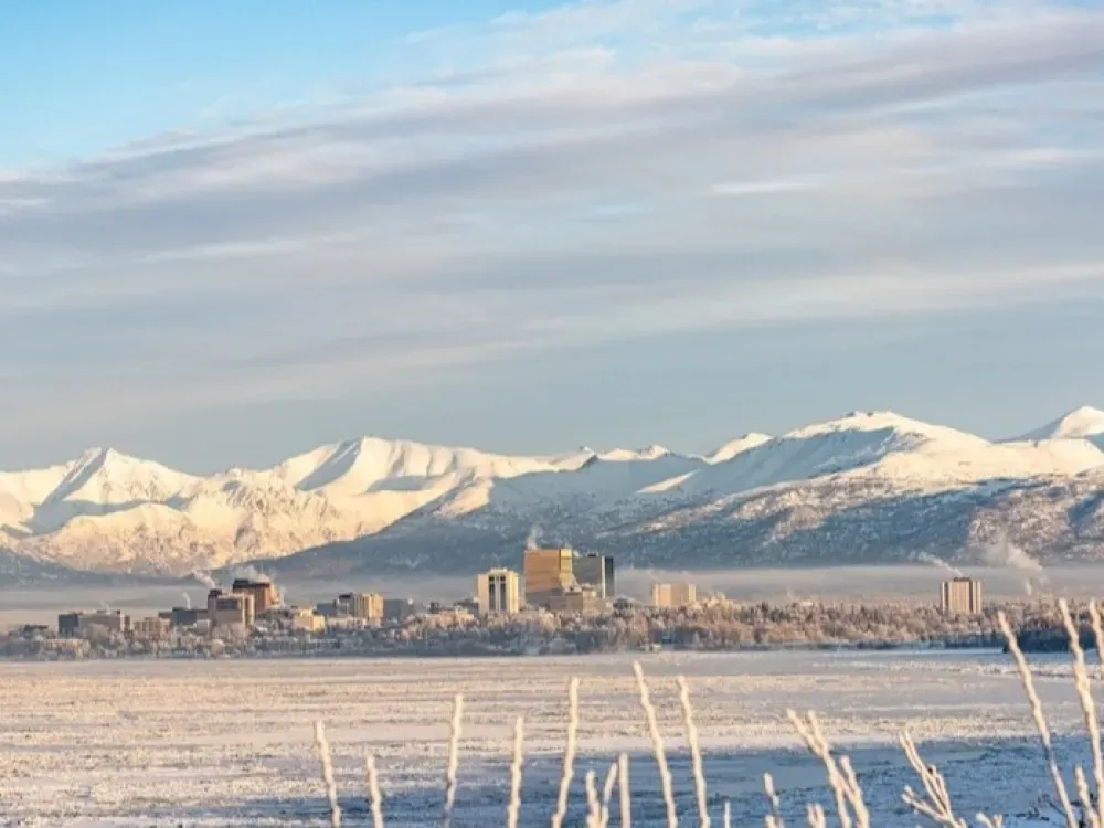 Winter City Tour - 5