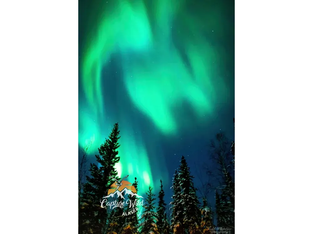 Northern Lights Photo Workshop - 3