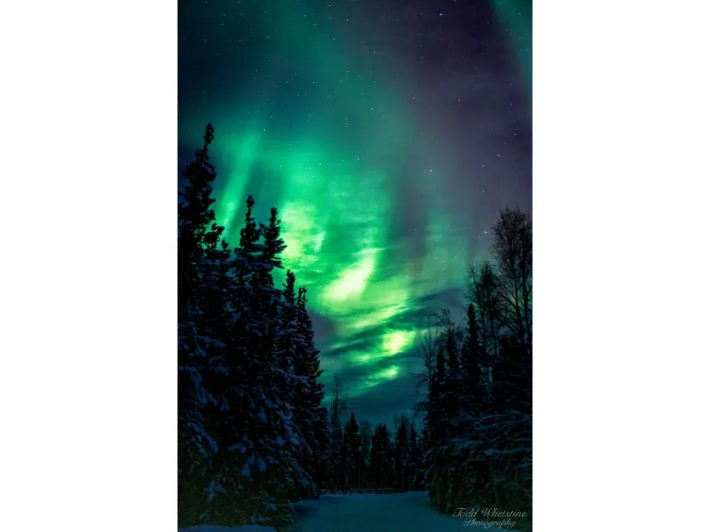 Northern Lights Photo Workshop - 5