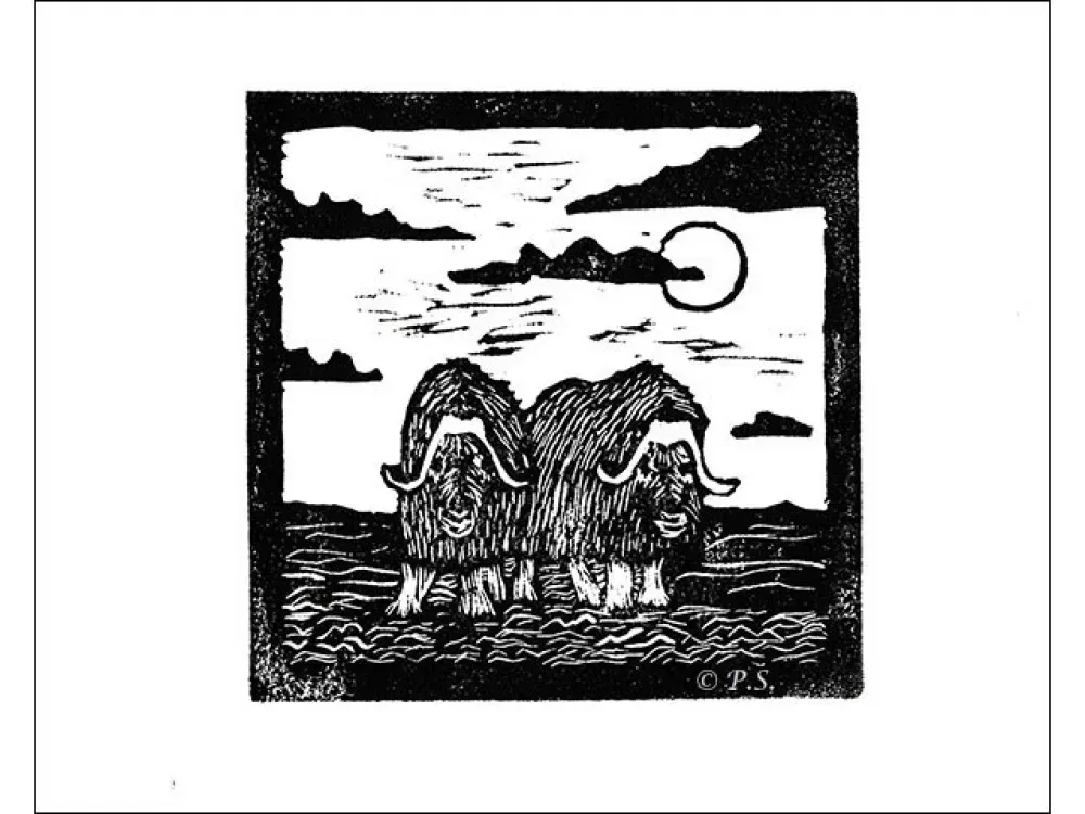 Muskox Hand Pressed Relief Prints in Black or Navy - 2