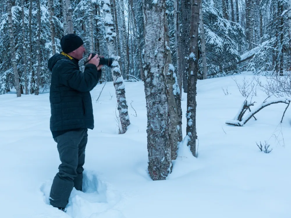 Anchorage Winter Wonderland Tour - 3