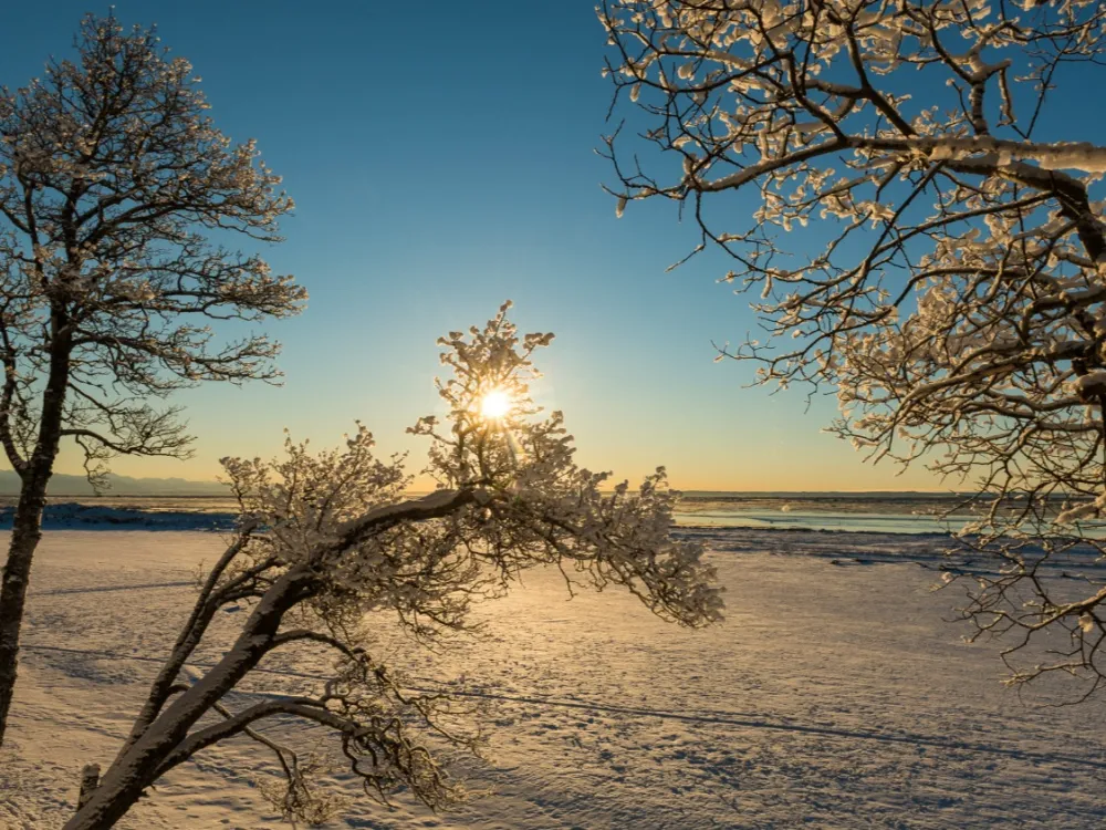 Anchorage Winter Wonderland Tour - 4