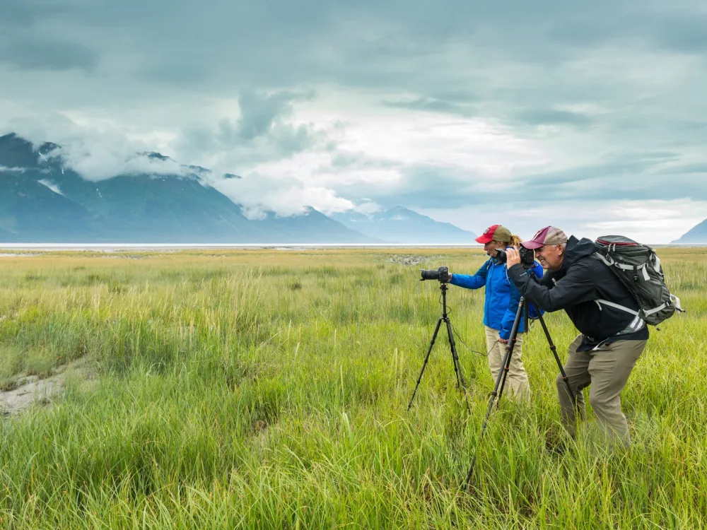 Turnagain Arm Highlights - 3