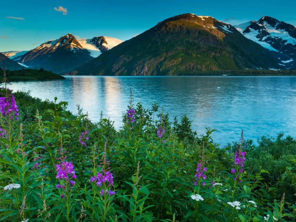Turnagain Arm Highlights - 4
