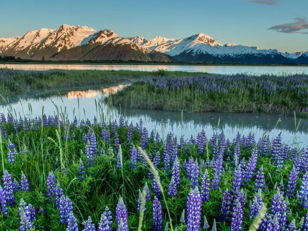 Turnagain Arm Highlights - 1