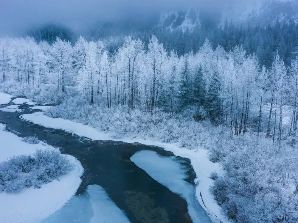 Drone Dreamscapes Private Group Tour - 2