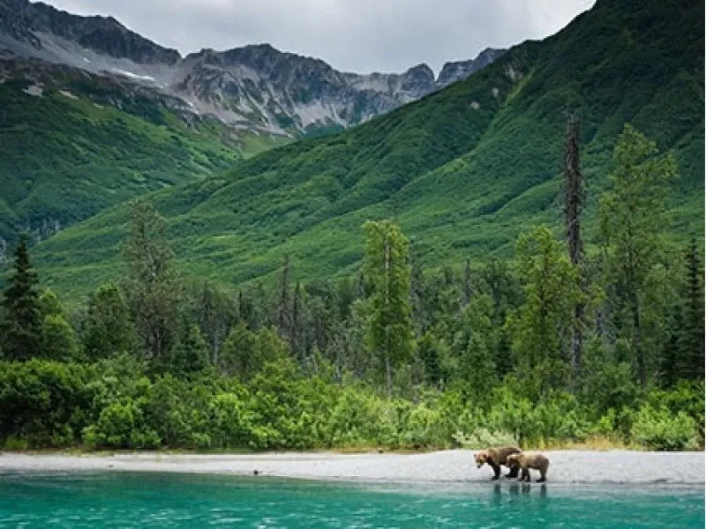 Katmai National Park - 5