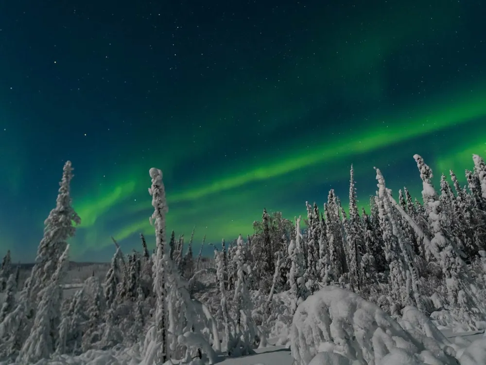 Yukon & Brooks Range Winter Photo Workshop - 3