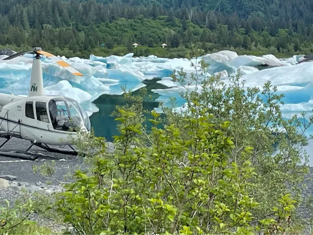 45 Minute Icefield Tour - 2