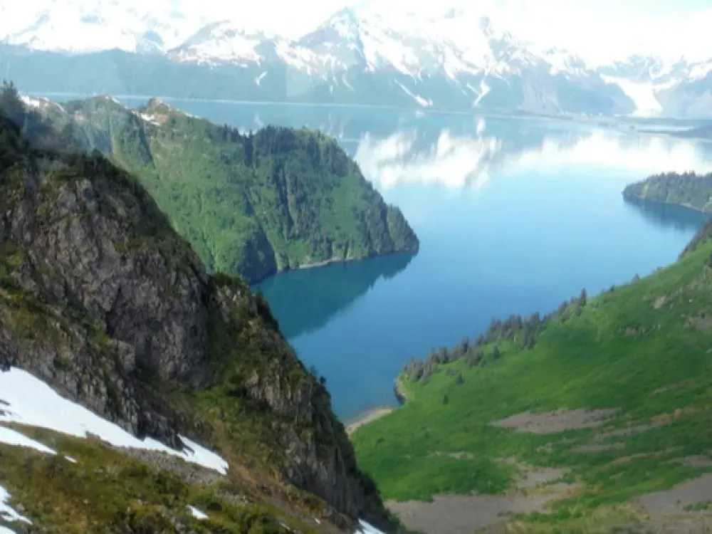 45 Minute Icefield Tour - 1