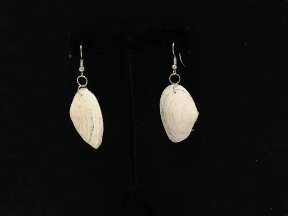 Shell Necklace And Earring Set - 2