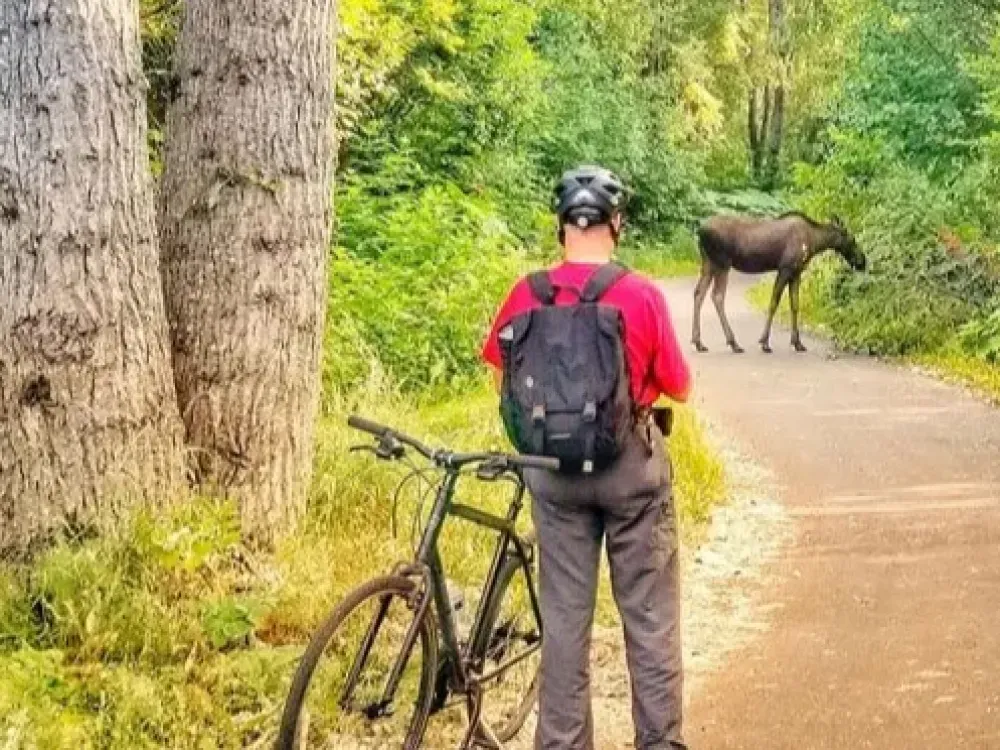 Coastal Cruise Bike Tour - 5