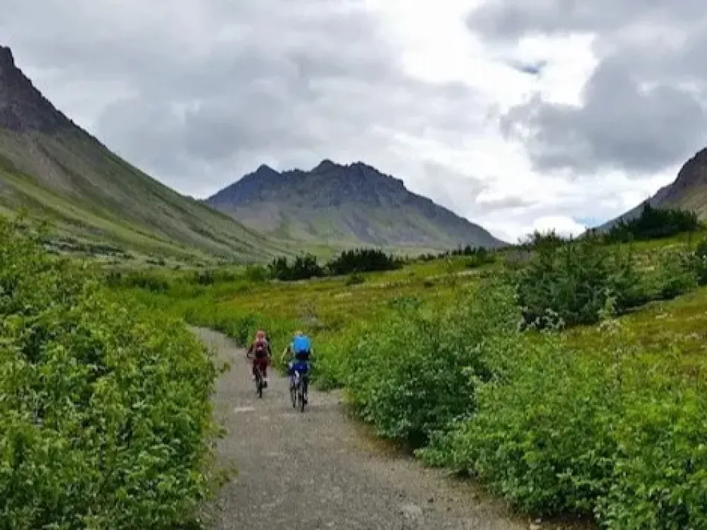 Chugach Mountain Bike Tour - 5