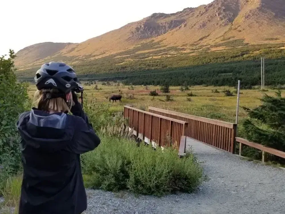 Chugach Mountain Bike Tour - 4