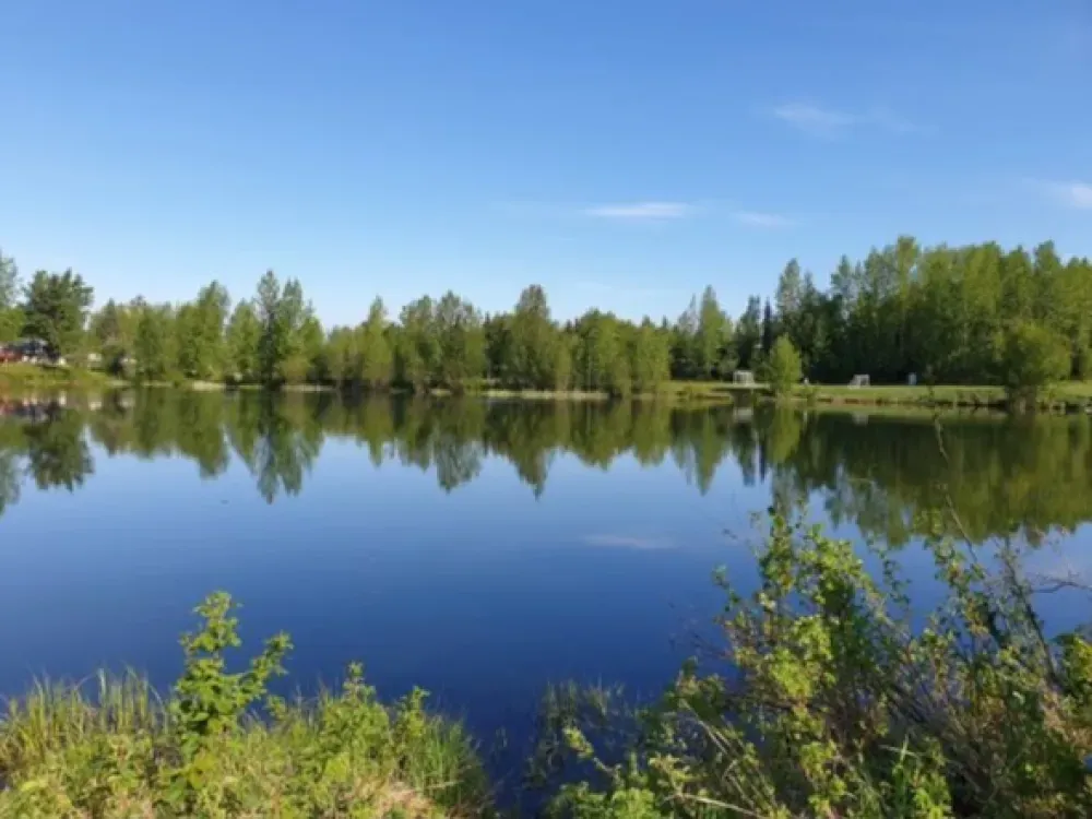 Anchorage Greenbelt Bike Tour - 5