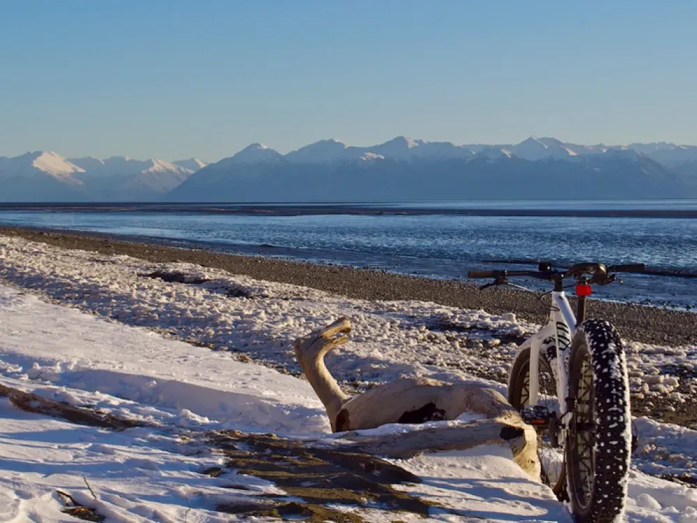 Anchorage Fat Tire Tour - 5