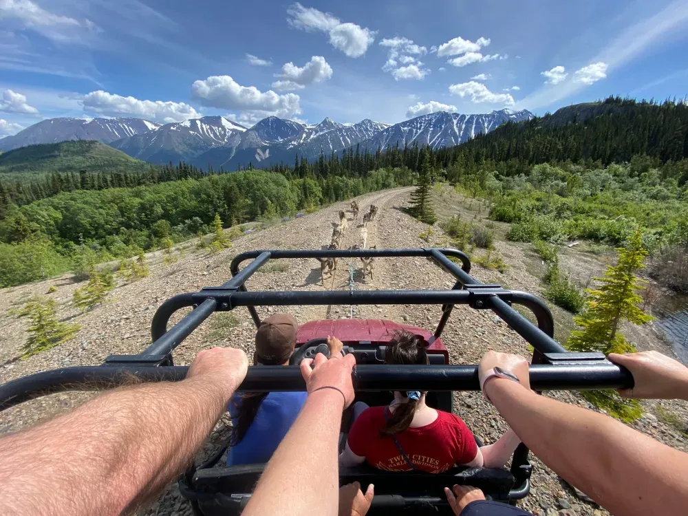 Step into the Yukon and Sled Dog Tour - 1