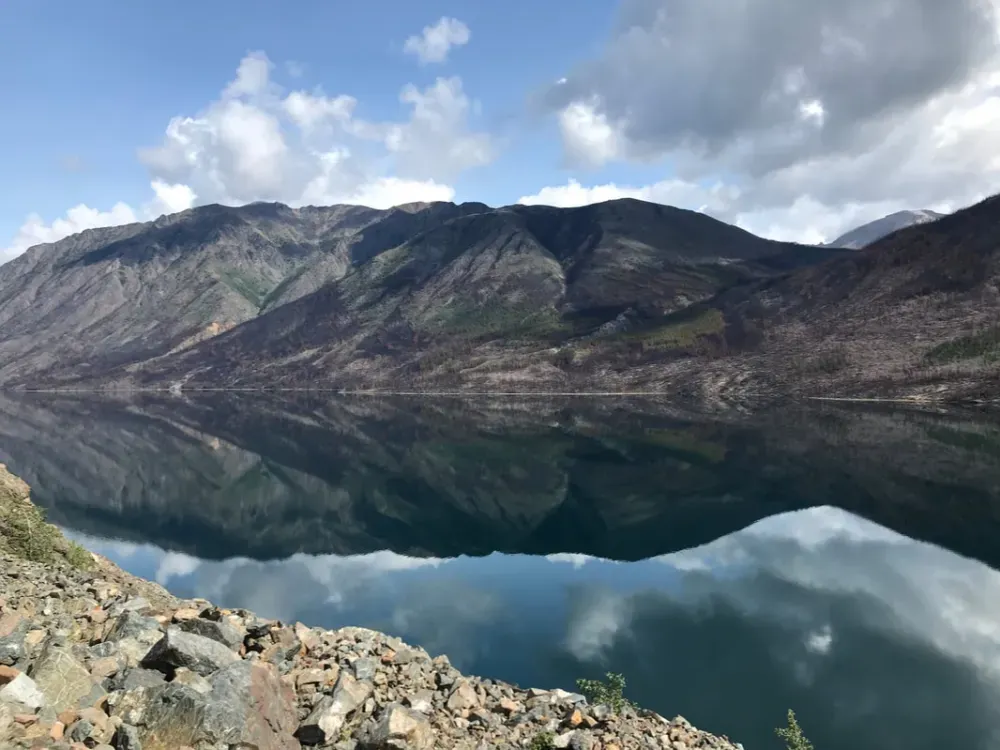 Step into the Yukon and Sled Dog Tour - 5
