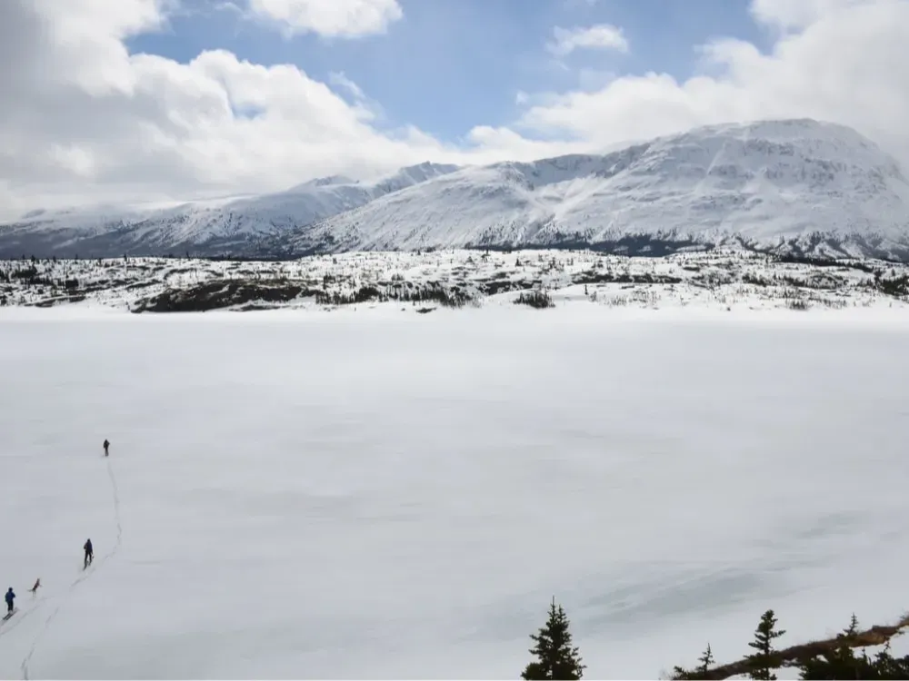 Yukon Tour (Early and late season only) - 3