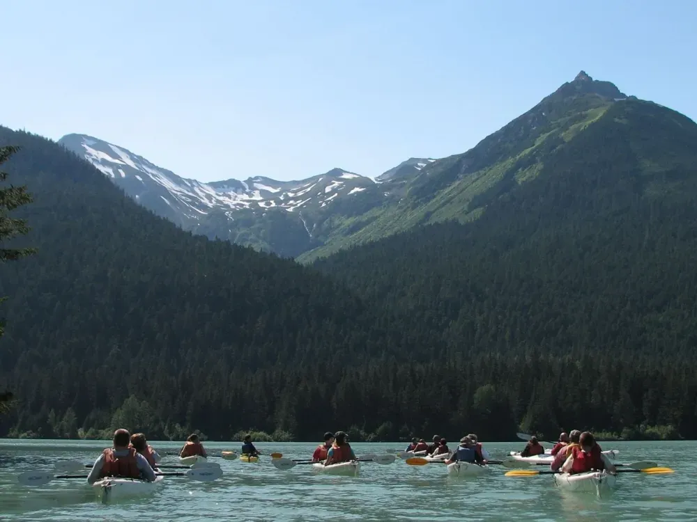 Wilderness Kayak Adventure Tour (Skagway Departure) - 2