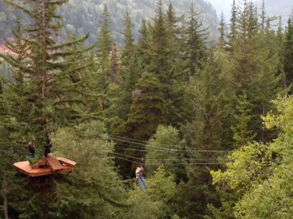 Adventure Park & Zipline Tour - 4