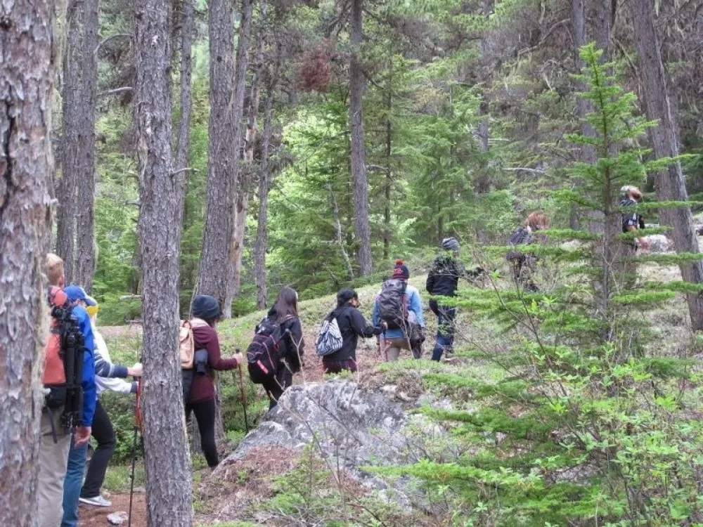 Skagway Adventure Hike - 3