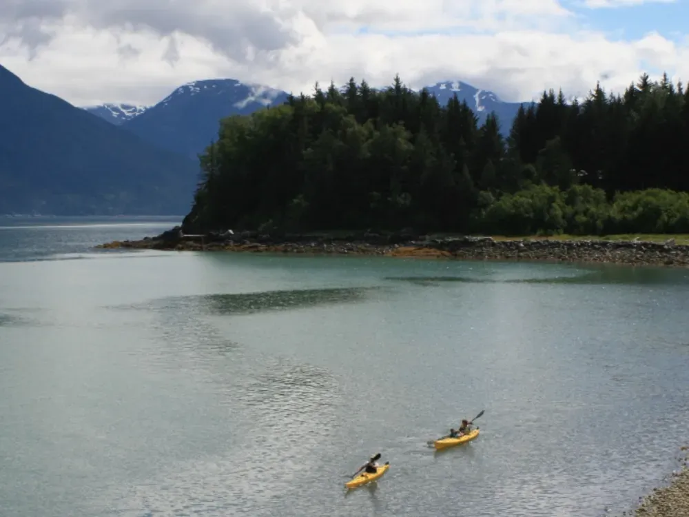 Fjords of the Inside Passage Kayaking Tour from Haines - 3
