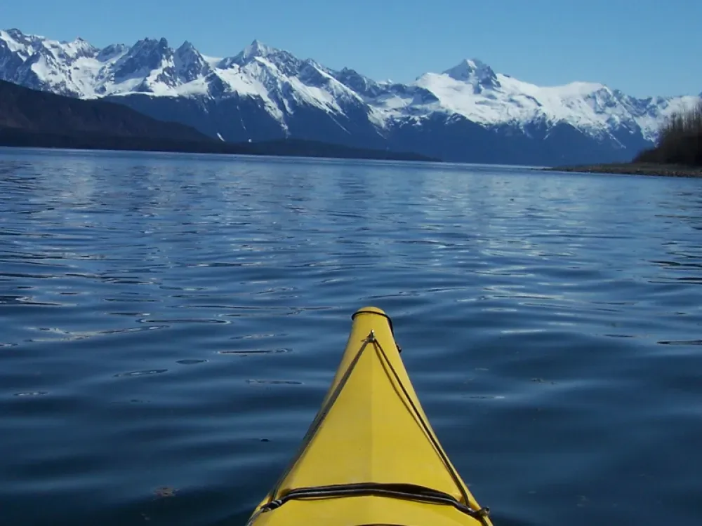 Fjords of the Inside Passage Kayaking Tour from Haines - 4