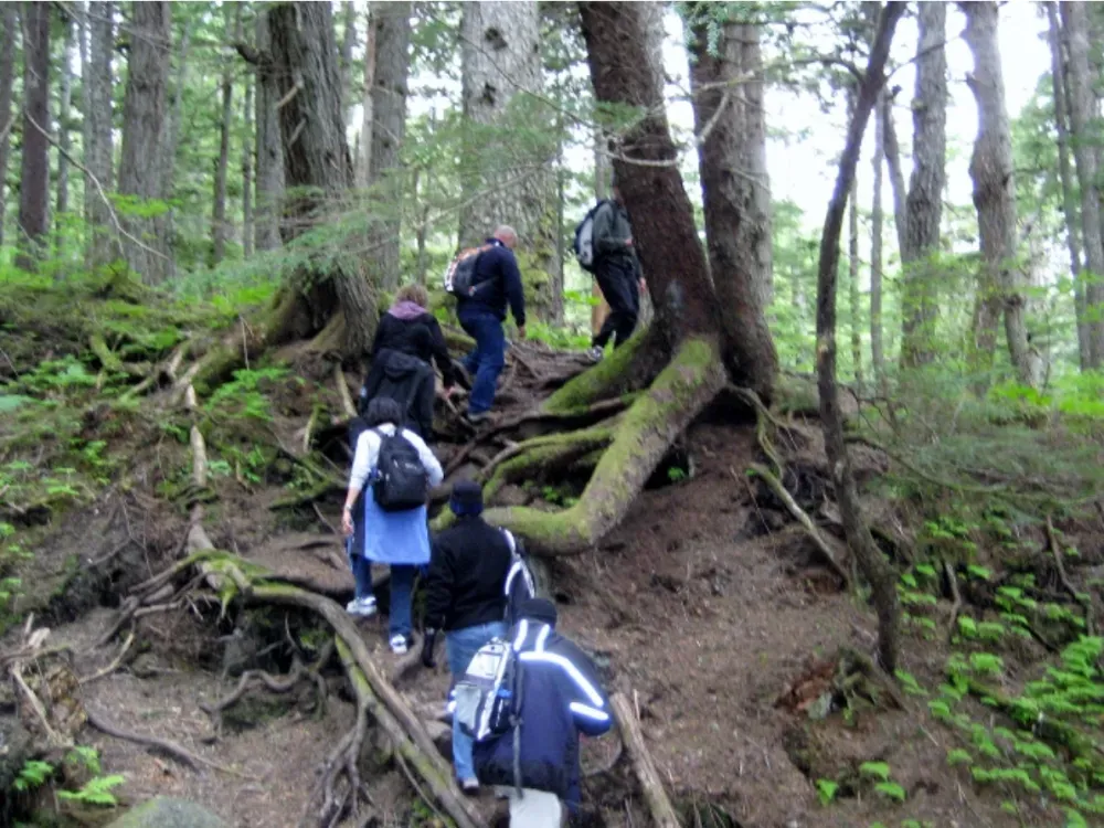 Mount Riley Guided Hiking - 4