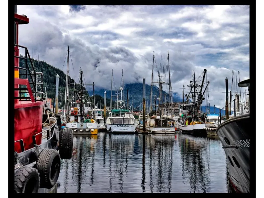 Ketchikan Photo Safari - 5